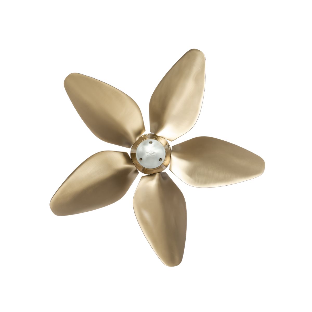 max prop - image of a propeller